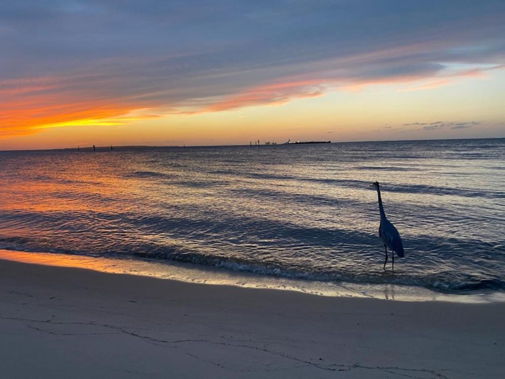 Budget Friendly Within Walking Distance To The Beach! Hébergement de vacances Gulf Shores
